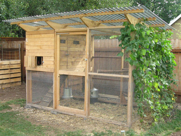 Backyard Chicken Coop Plans Free
 Backyard chicken coop plans