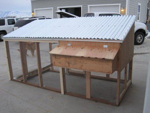 Backyard Chicken Coop Plans Free
 simple chicken coops for 10 chickens Google Search