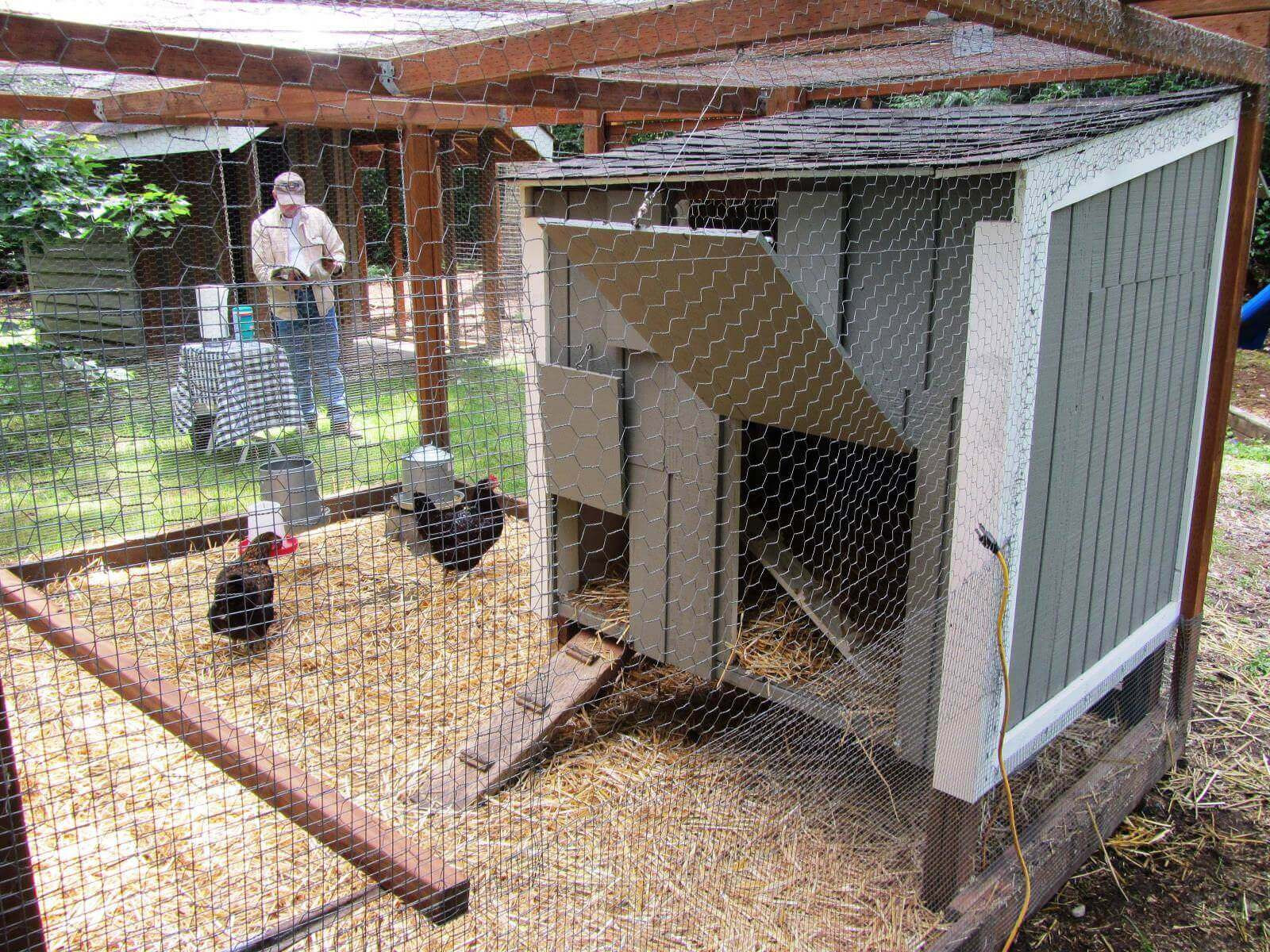 Backyard Chicken Coop Plans Free
 Free Backyard Chicken Coop Plans Backyard Chicken Coop