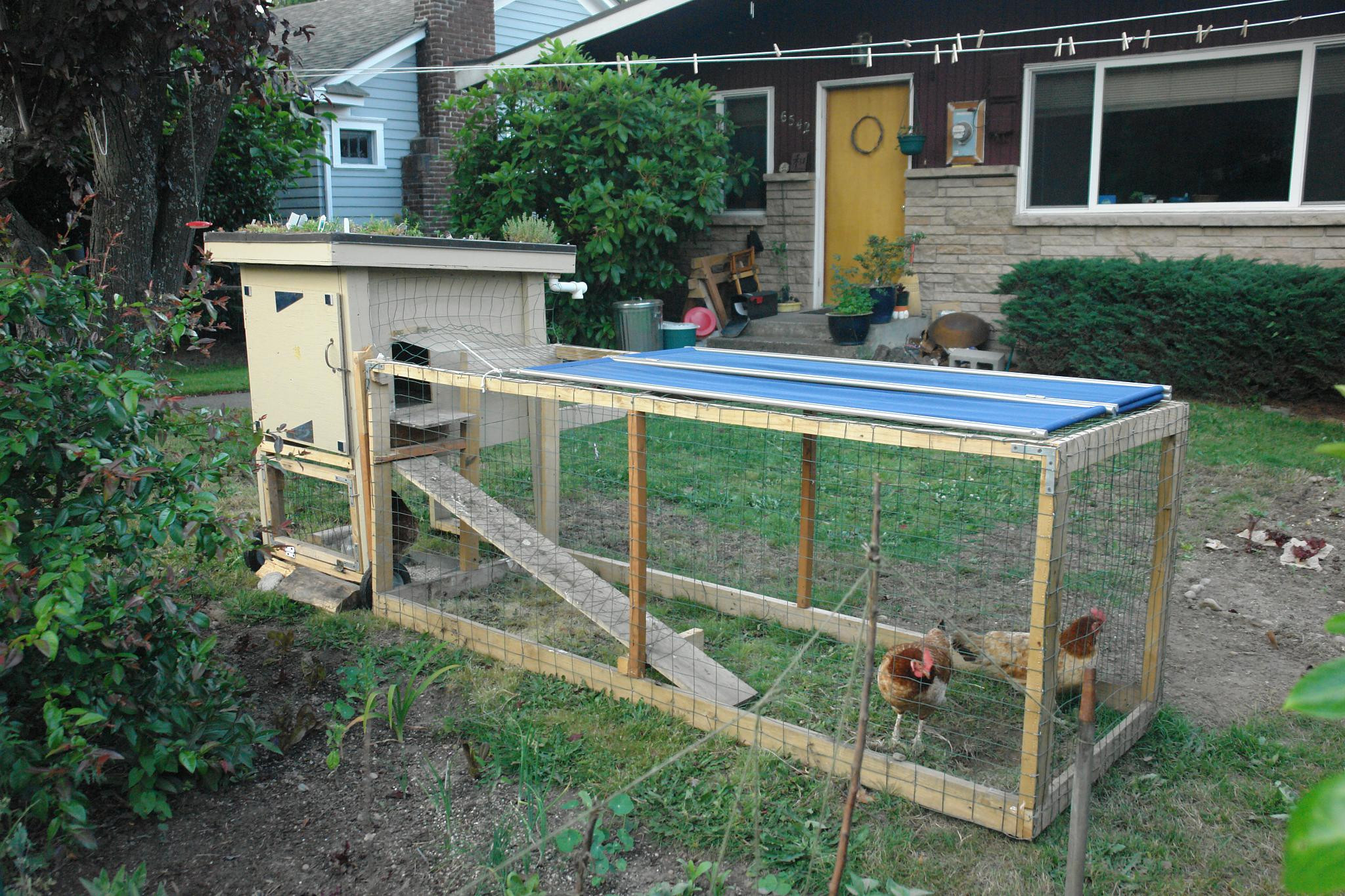 Backyard Chicken Coop Plans Free
 Chik tim This is Chicken coop backyard designs