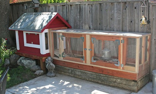 Backyard Chicken Coop Plans Free
 Backyard Chickens – Portable Chicken Coop Building Plans