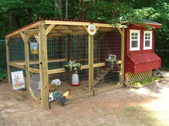 Backyard Chicken Coop Plans Free
 Homemade Chicken Coops Important Tips For Beginners