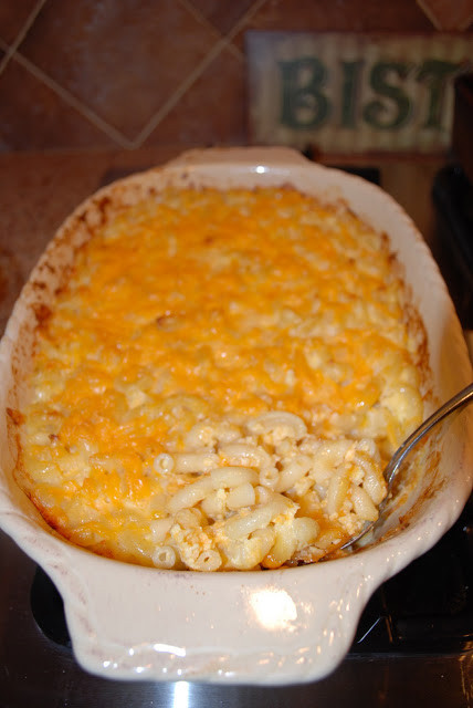 Baked Macaroni And Cheese Recipes With Sour Cream
 Southern Style Macaroni and Cheese Amee s Savory Dish
