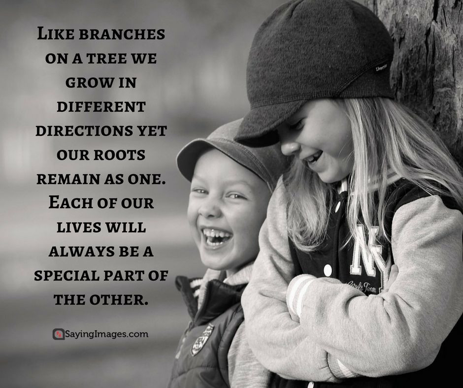 Brothers And Sister Love Quotes
 35 Sweet and Loving Siblings Quotes sayingimages