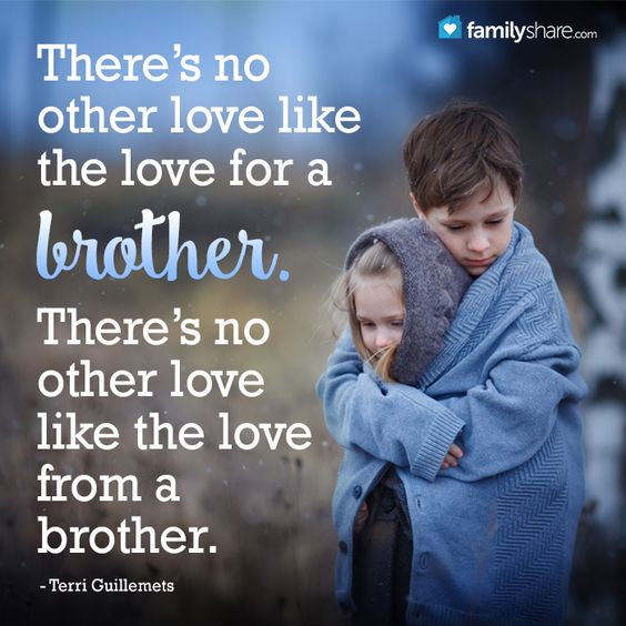 Brothers And Sister Love Quotes
 Top 29 Cute Brother Quotes from Sister – Life Quotes & Humor