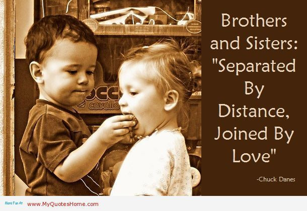 Brothers And Sister Love Quotes
 funny quotes about sisters sweet visit roflburger the