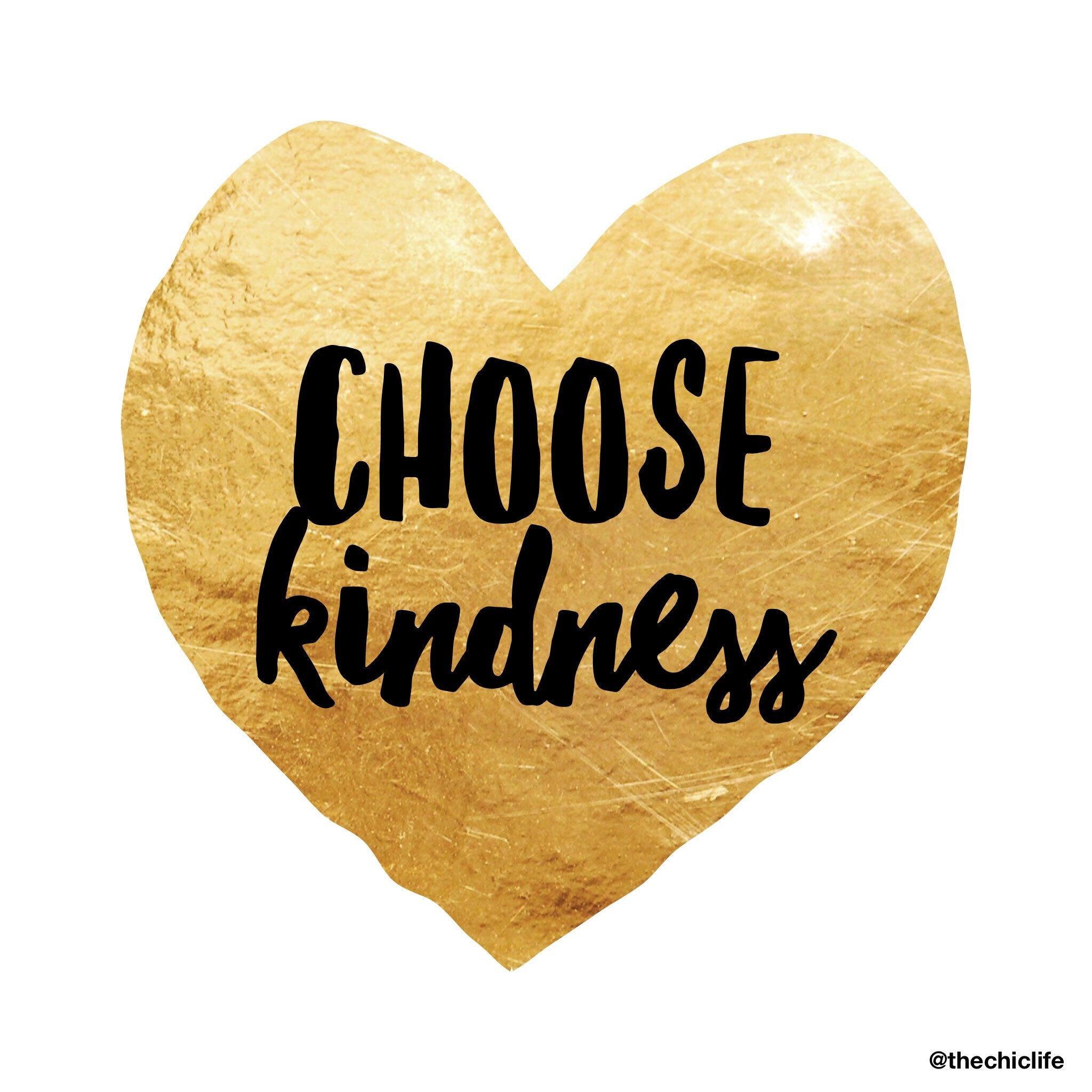 Choose Kindness Quotes
 Choose Kindness The Chic Life