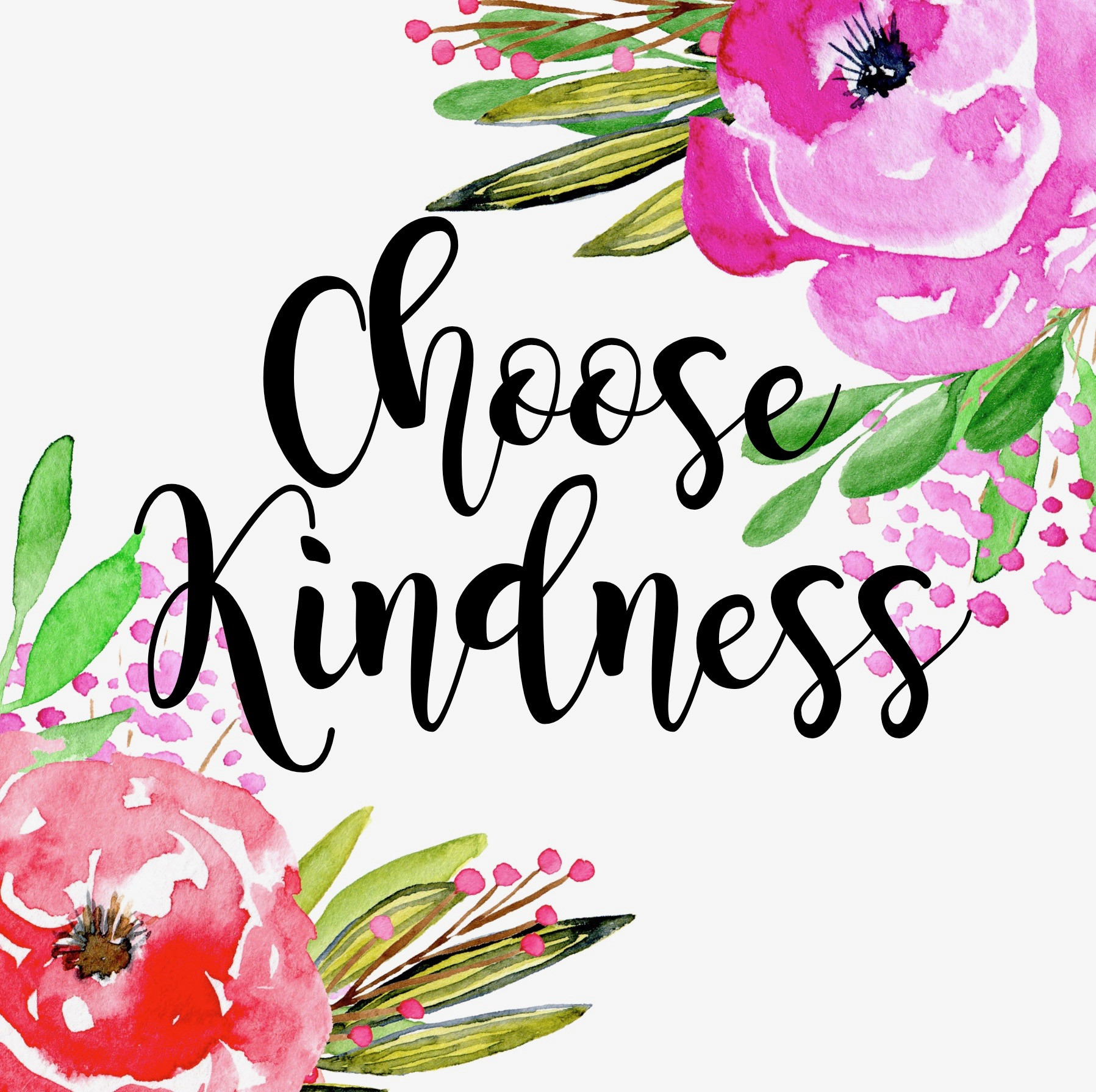 Choose Kindness Quotes
 14 Day Walk with Christ 2017