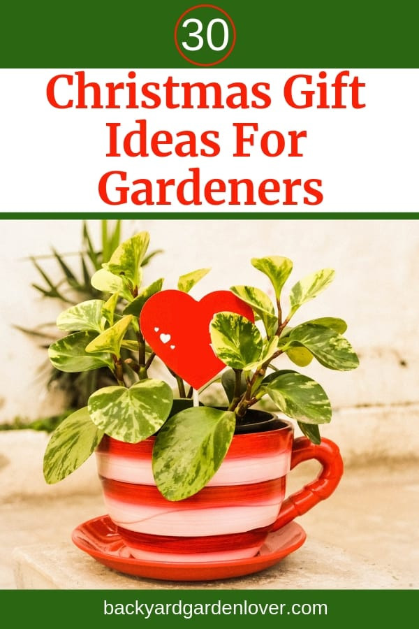 Christmas Gifts For Gardeners
 30 Creative Christmas Gift Ideas For Gardeners