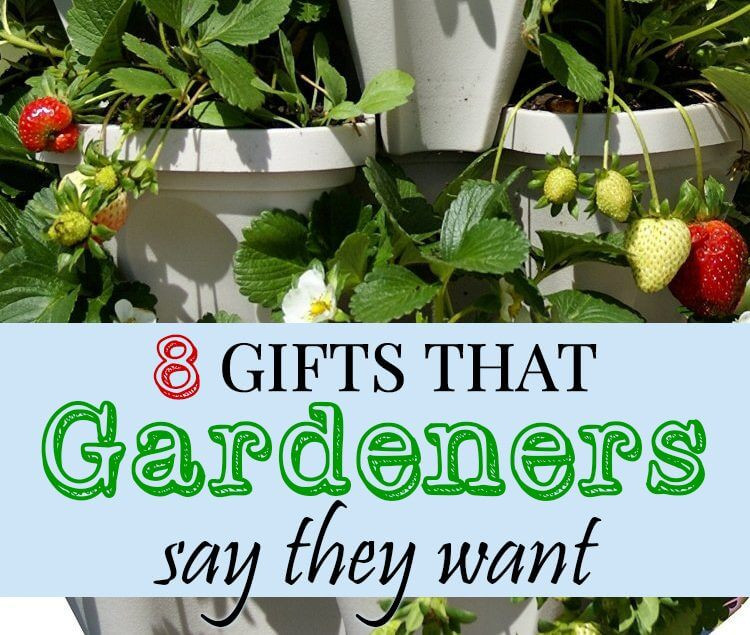 Christmas Gifts For Gardeners
 8 Gifts that Gardeners want for Christmas Lovely Greens