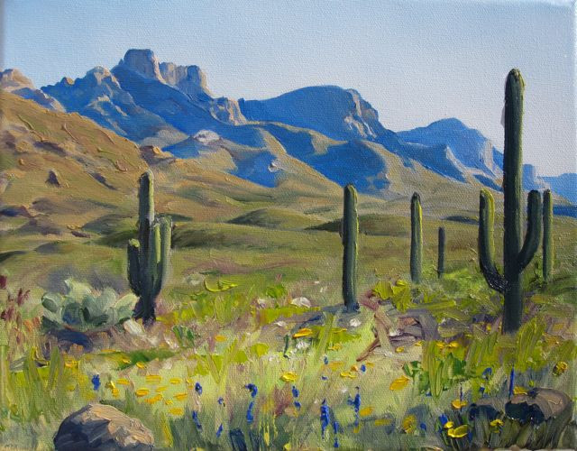 Desert Landscape Paintings
 Meg Newberg Desert Landscape Paintings