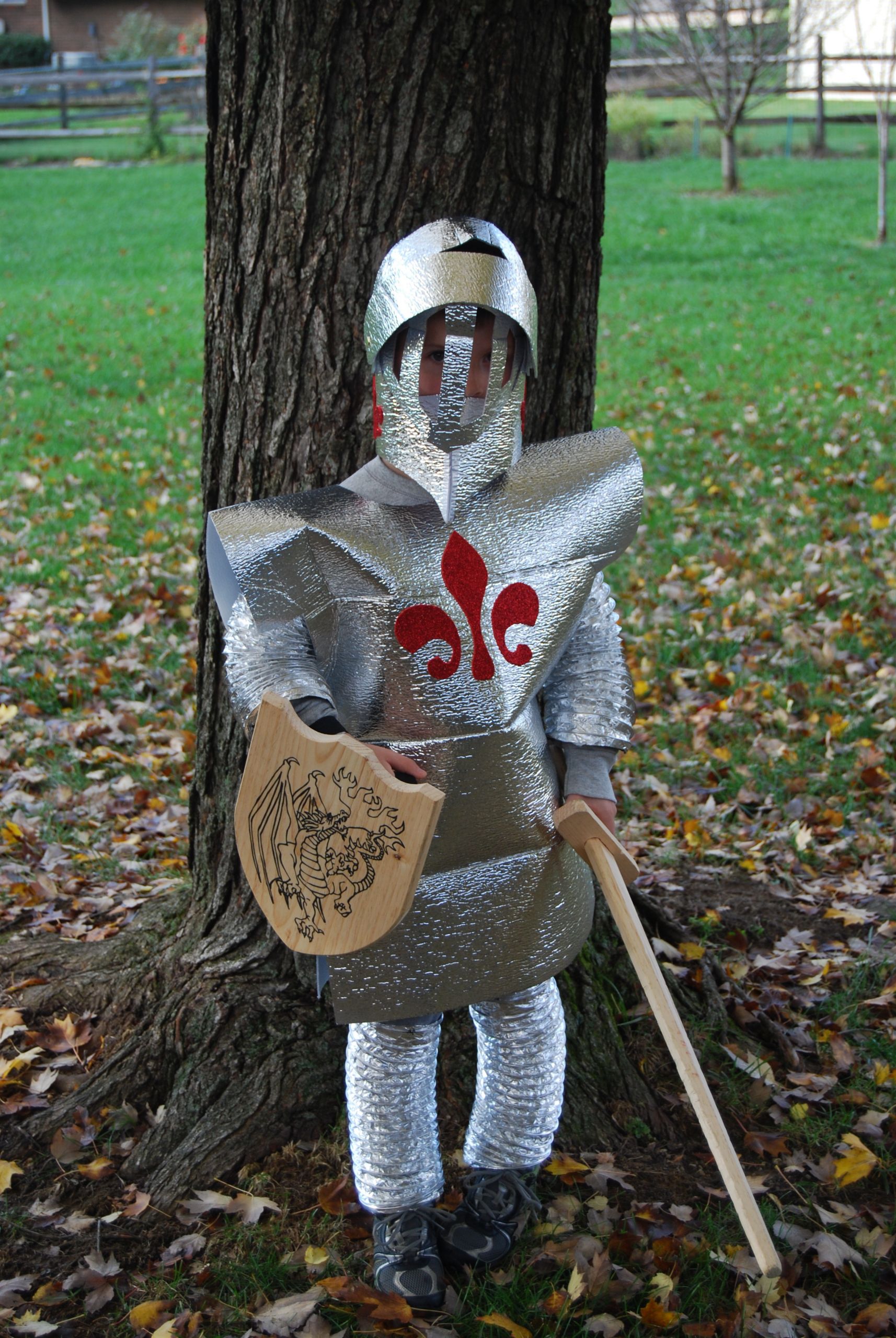 DIY Knight Costumes
 25 Creative DIY Costumes for Boys
