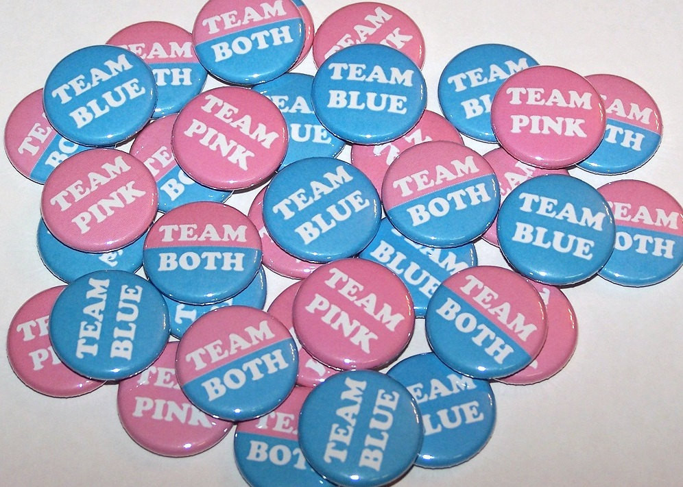 Gender Reveal Party Ideas Twins
 Twins Team Pink Team Blue Team Both Gender Reveal Party Set of
