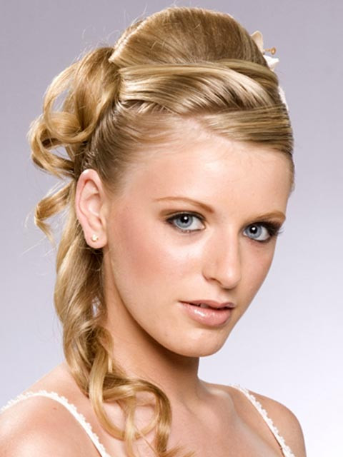 Long Hair Updo Hairstyles
 Hairstyles for long hair updos