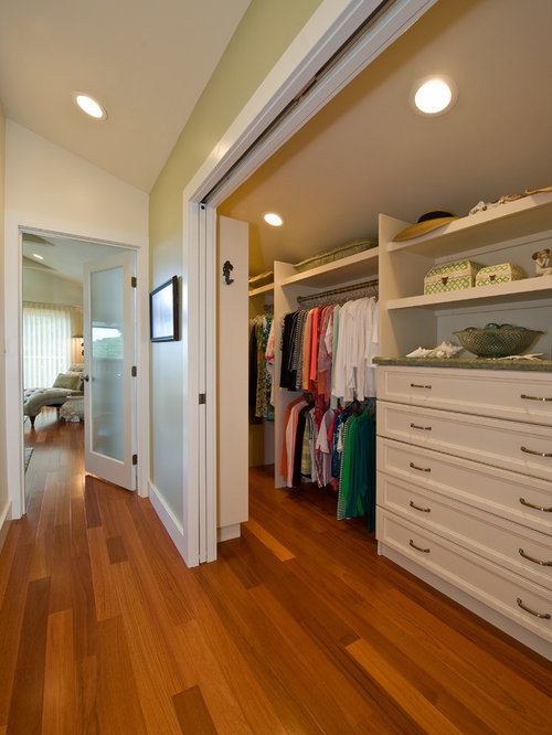 Master Bedroom Closets
 Narrow Walk In Closet Home Design Ideas Remodel
