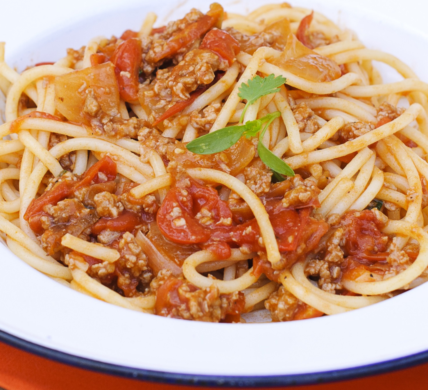 Meat Spaghetti Sauce
 Spaghetti with Meat Sauce