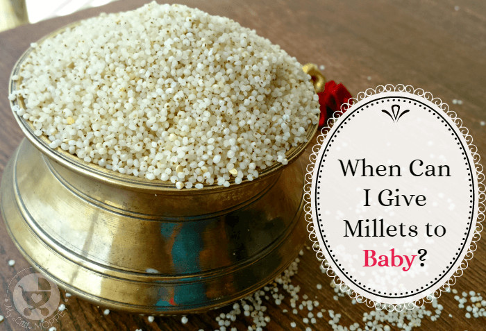 Millet For Baby
 Can I give my Baby Millet My Little Moppet