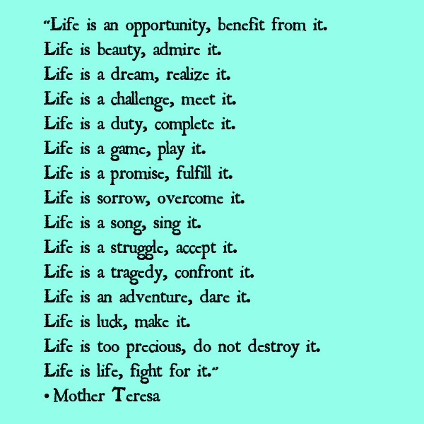 Mother Teresa Quotes About Life
 The Life A Mother Quotes QuotesGram