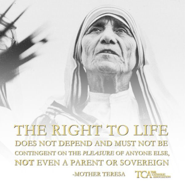 Mother Teresa Quotes About Life
 Mother Teresa Pro Life Quotes QuotesGram