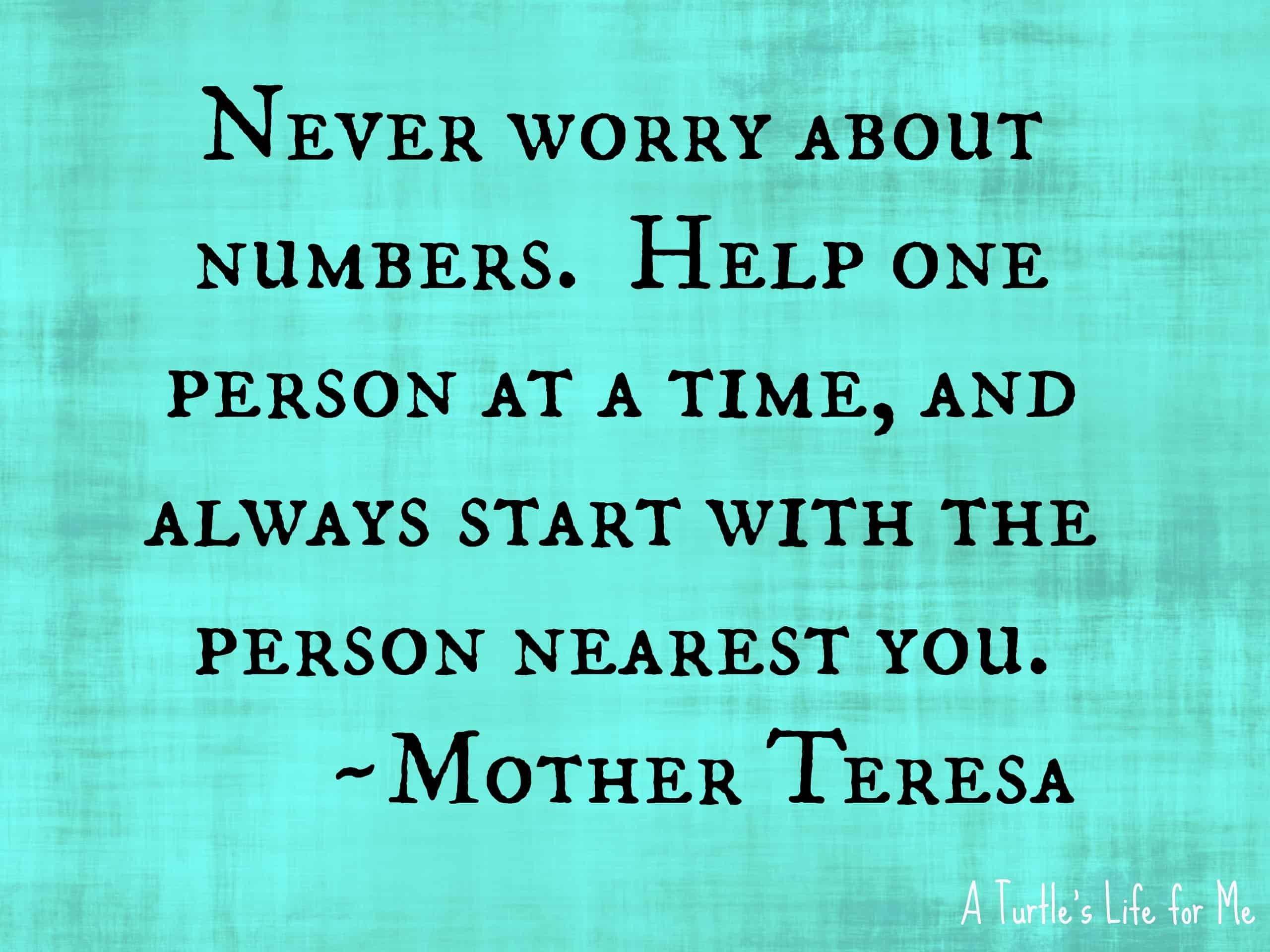 Mother Teresa Quotes About Life
 June 2013 A Turtle s Life for Me
