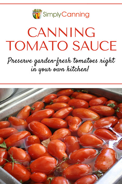 Pressure Canning Tomato Sauce
 Canning Tomato Sauce Made Easy Options Tips & Tricks