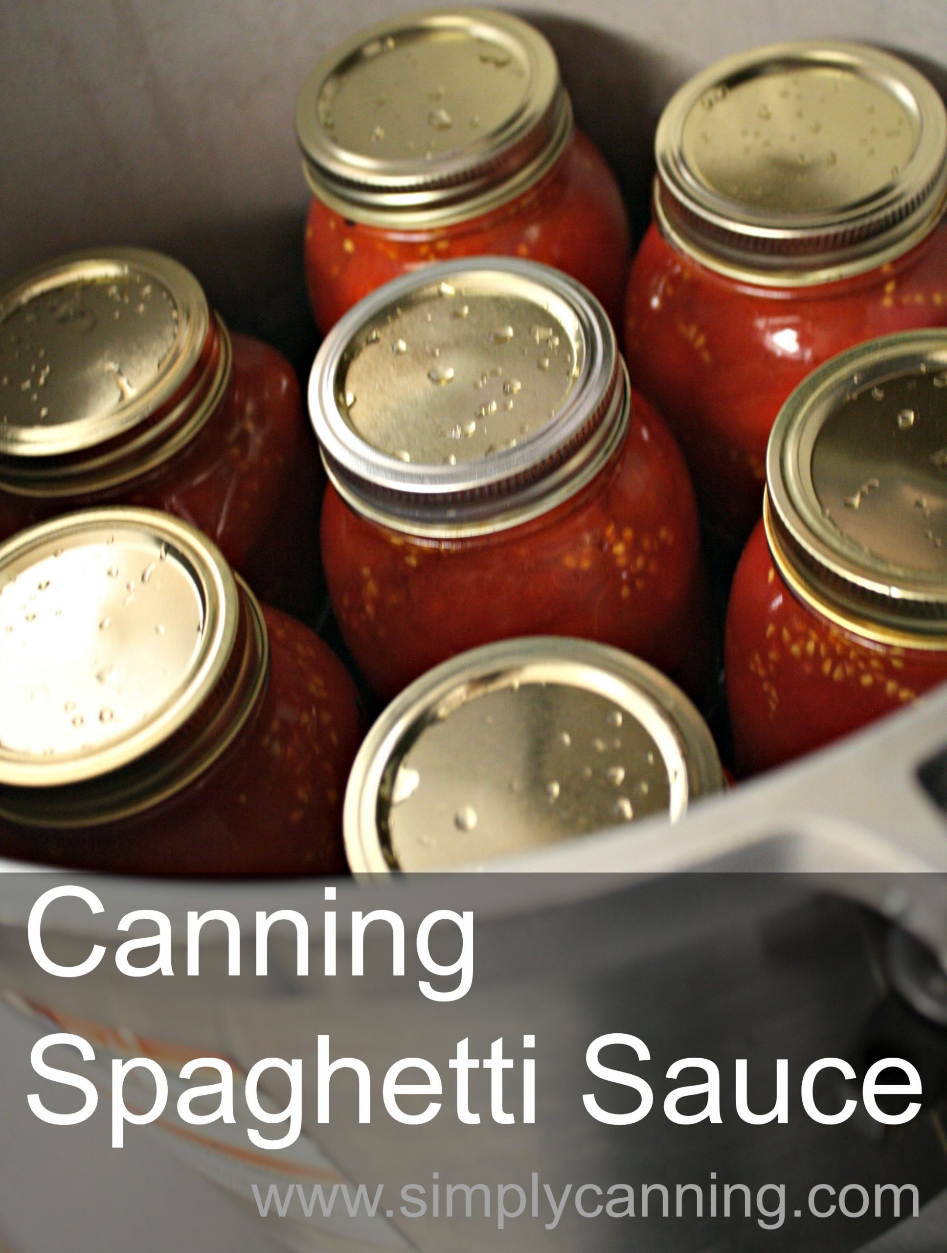 Pressure Canning Tomato Sauce
 Canning Spaghetti Sauce Recipe with meat that will save