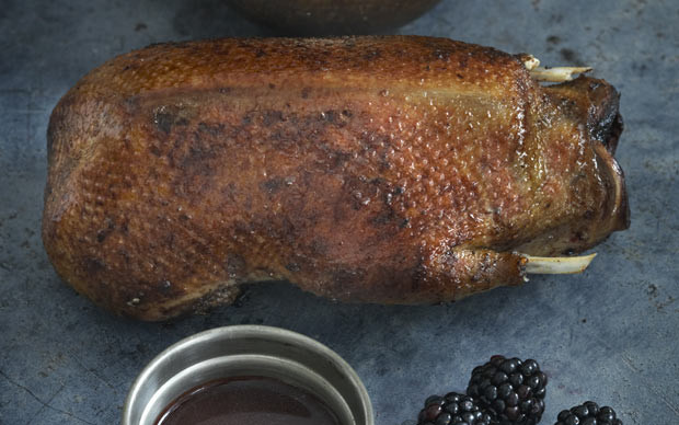 Roast Wild Duck Recipes
 Roast wild duck with blackberry sauce and celeriac puree