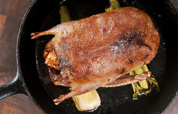 Roast Wild Duck Recipes
 Slow Roasted Duck