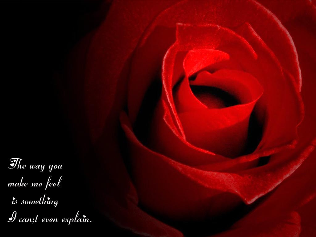 Rose Romantic Quotes
 Roses Quotes QuotesGram
