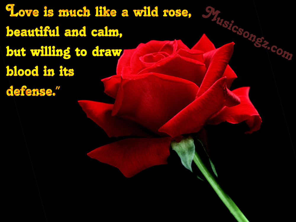 Rose Romantic Quotes
 Red Rose Love Quotes QuotesGram