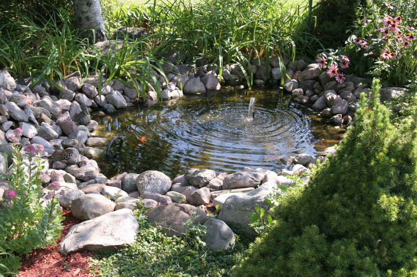 Small Backyard Ponds
 37 Backyard Pond Ideas & Designs