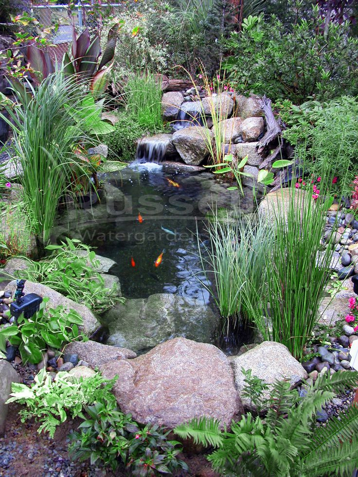Small Backyard Ponds
 424 best Coi ponds water features fountains images on