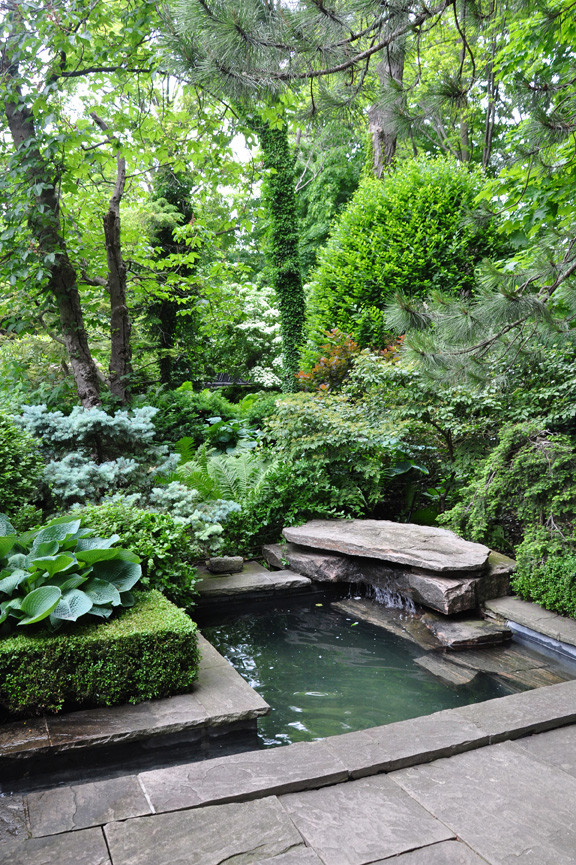 Small Backyard Ponds
 Three Dogs in a Garden Pin Ideas Small Water Features