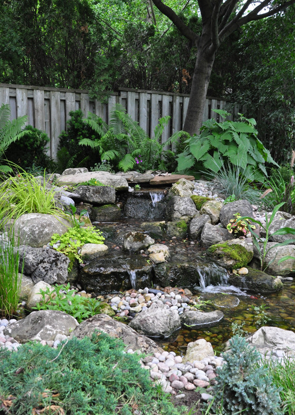 Small Backyard Ponds
 Three Dogs in a Garden Pin Ideas Small Water Features