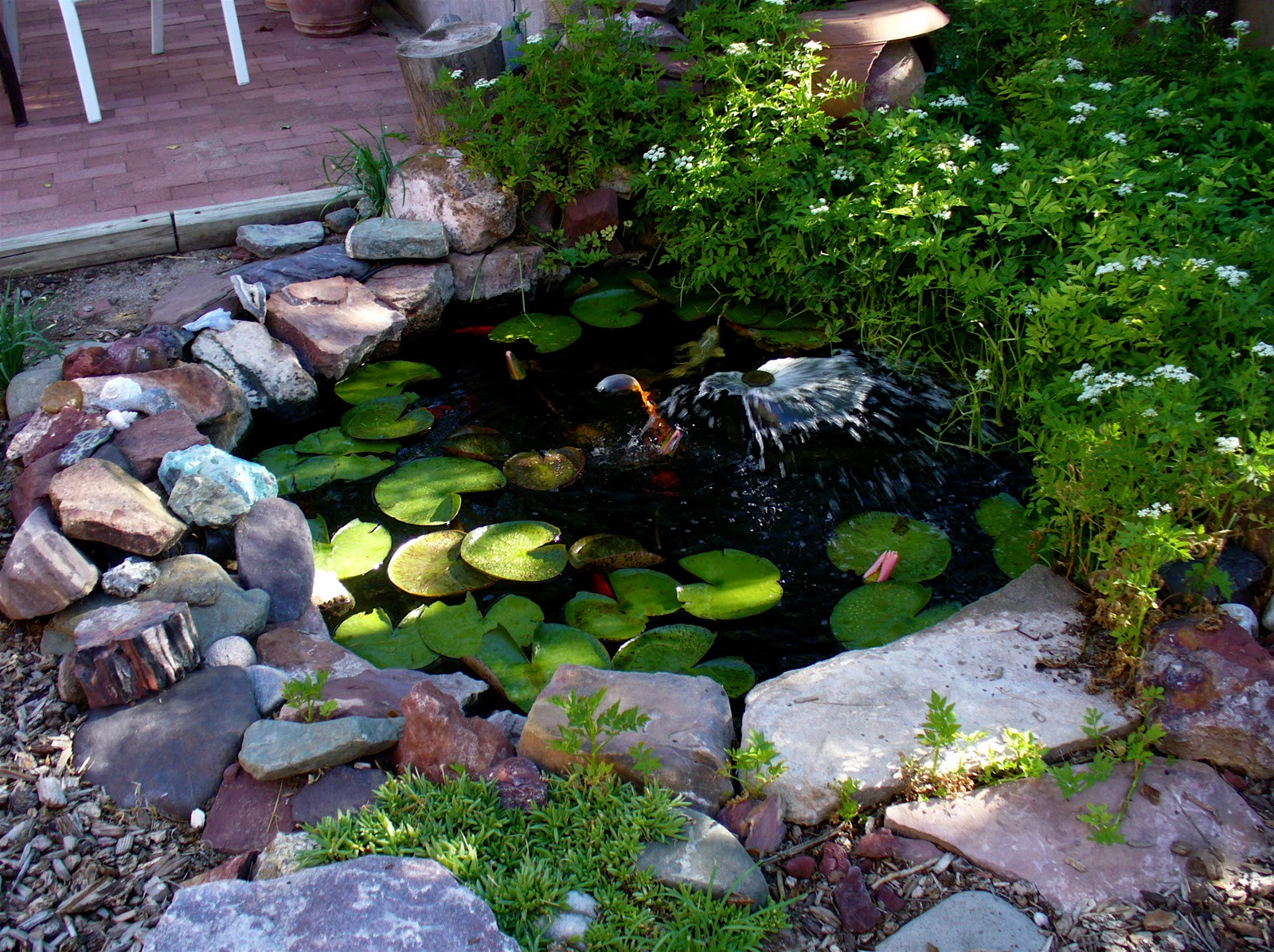 Small Backyard Ponds
 Alt Build Blog A Small Backyard Pond