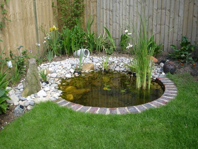 Small Backyard Ponds
 Small Pond Designs