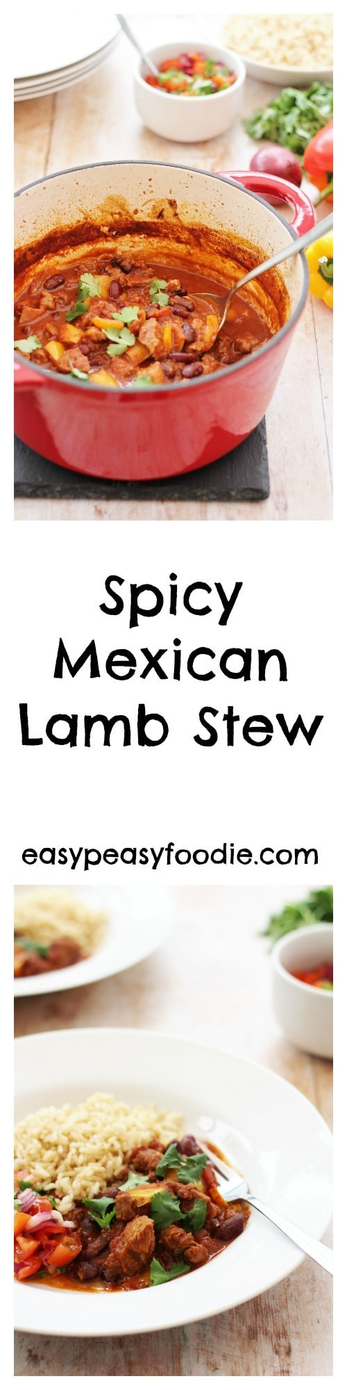Spicy Lamb Stew
 Spicy Mexican Lamb Stew & Easy Peasy Salsa Easy Peasy Foo