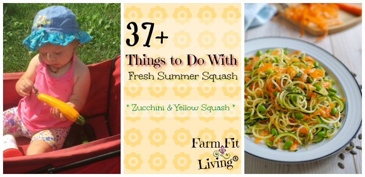 Summer Squash Nutrition
 Things to Do With All That Summer Squash