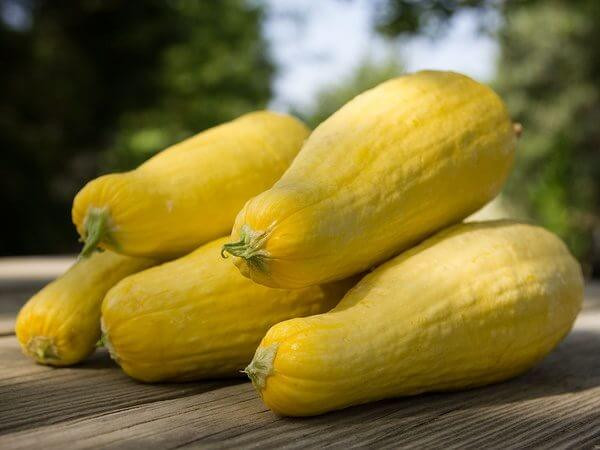Summer Squash Nutrition
 Eating Yellow Squash Could Keep You From Be ing Sick