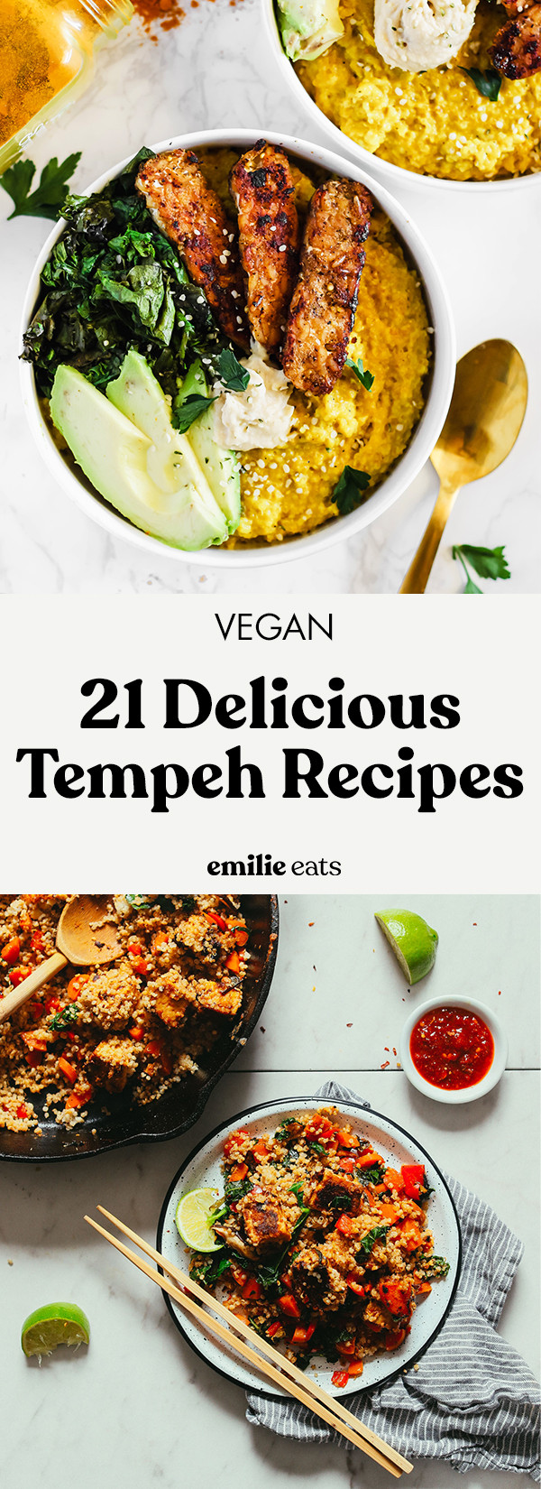 Tempeh Dinner Recipes
 21 Delicious Vegan Tempeh Recipes