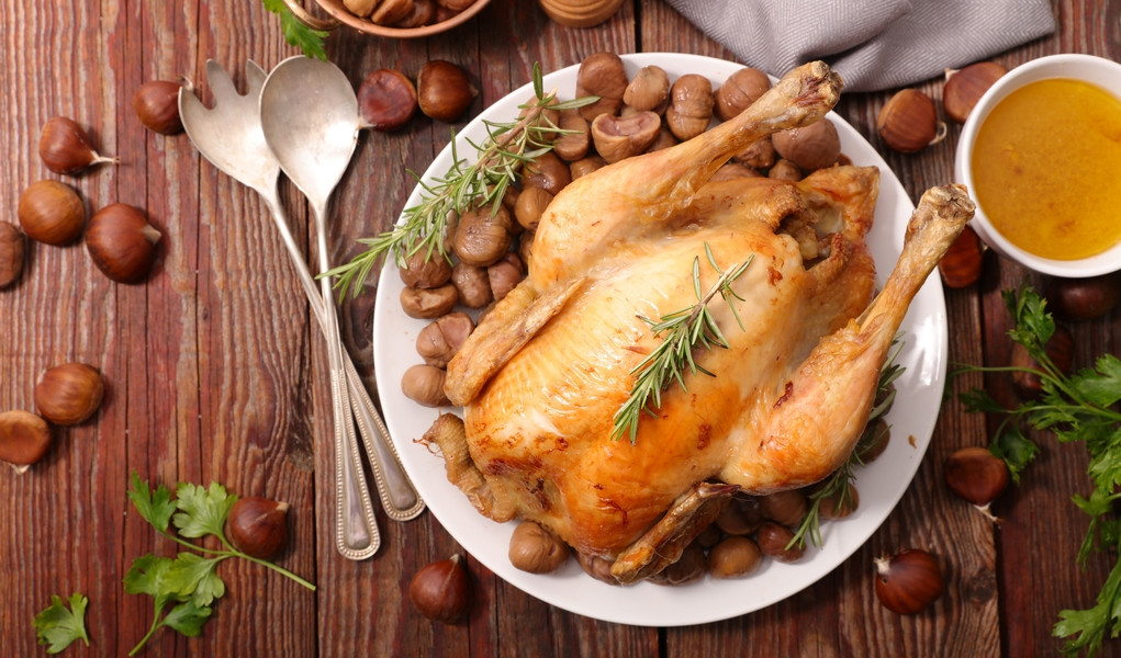 Thanksgiving Dinner Recipes
 25 Best Homemade Thanksgiving Dinner Recipes for Dogs