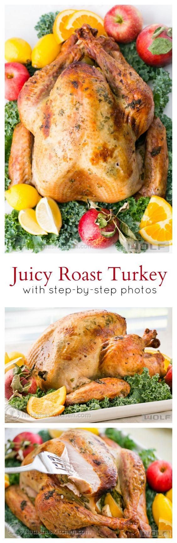 Thanksgiving Dinner Recipes
 The BEST Thanksgiving Dinner Holiday Favorite Menu Recipes