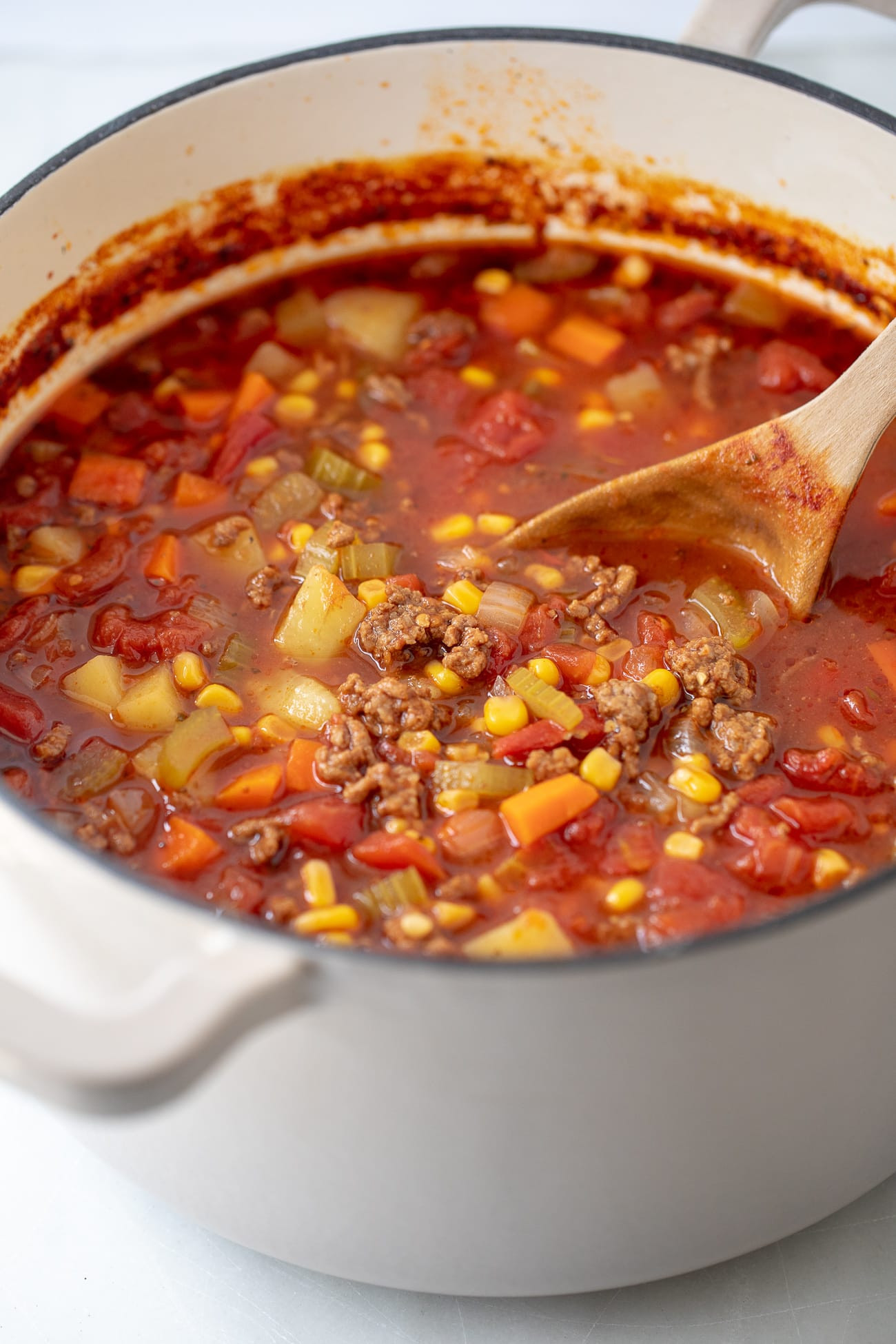 Vegetable Beef Soup With Ground Beef
 Easy Hamburger Soup Recipe Ground Beef and Ve able Soup