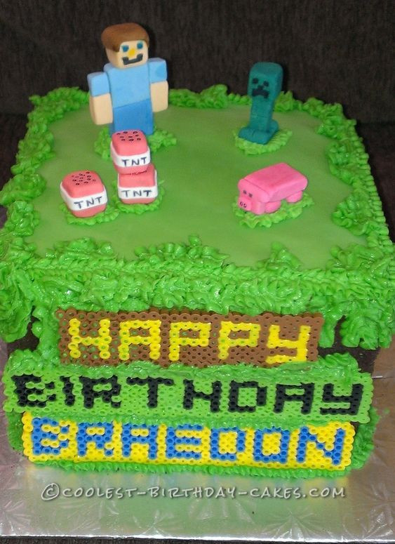 10 Year Old Boy Birthday Party Themes
 Minecraft Birthday Cake for 10 Year Old Boy
