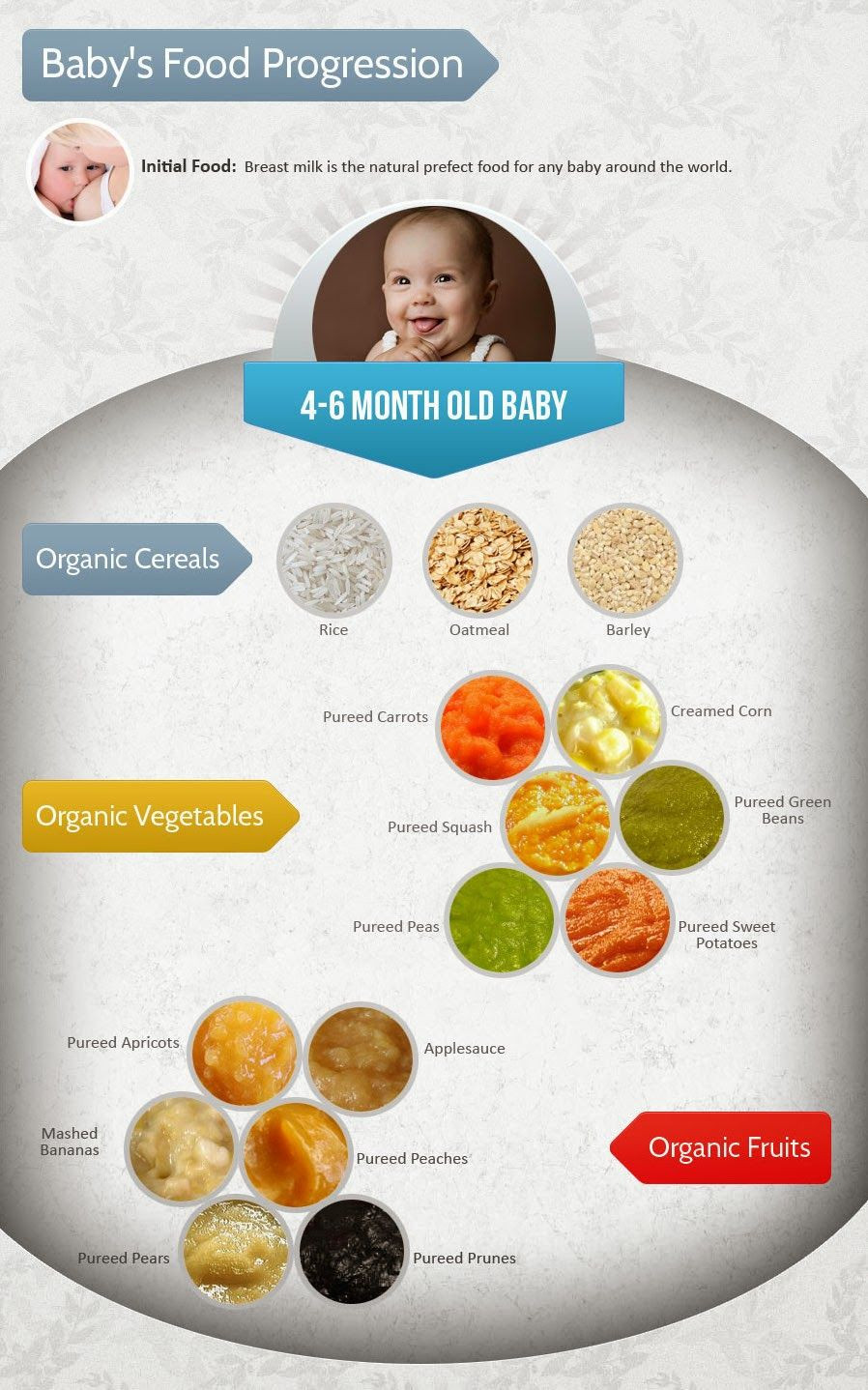 5 Month Old Baby Food Recipes
 Top 10 Baby Items for Months 5 & 6 Teething & Feeding