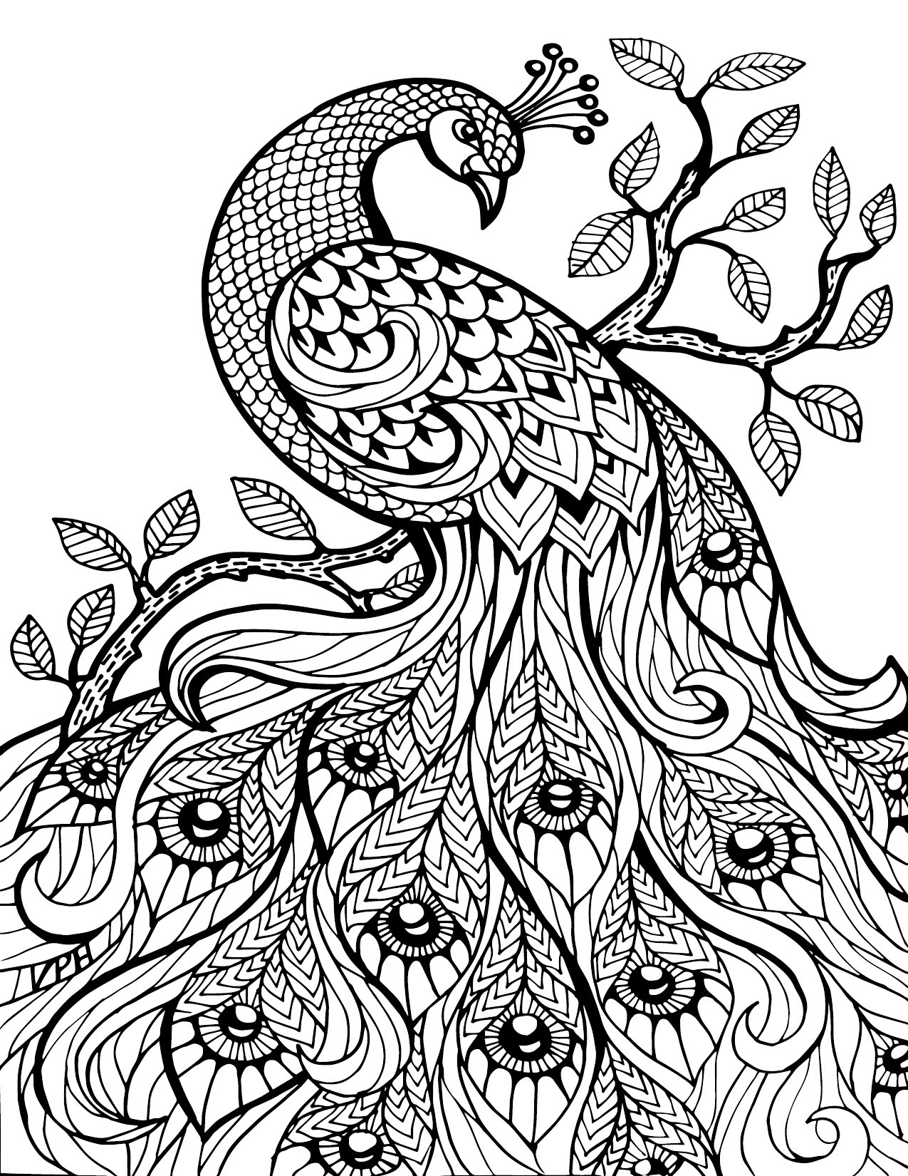 Adult Coloring Book Download
 Free Download Adult Coloring Pages