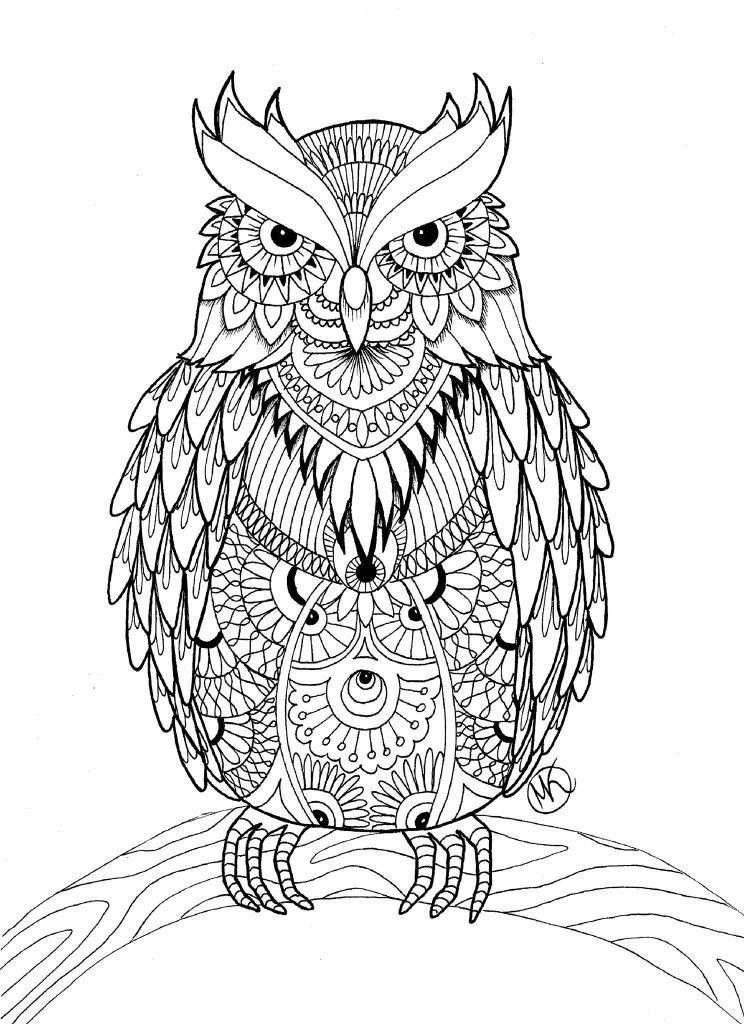 Adult Coloring Book Pages
 OWL Coloring Pages for Adults Free Detailed Owl Coloring