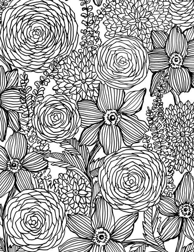 Adult Coloring Books For Sale
 alisaburke flower power coloring book on sale and a free