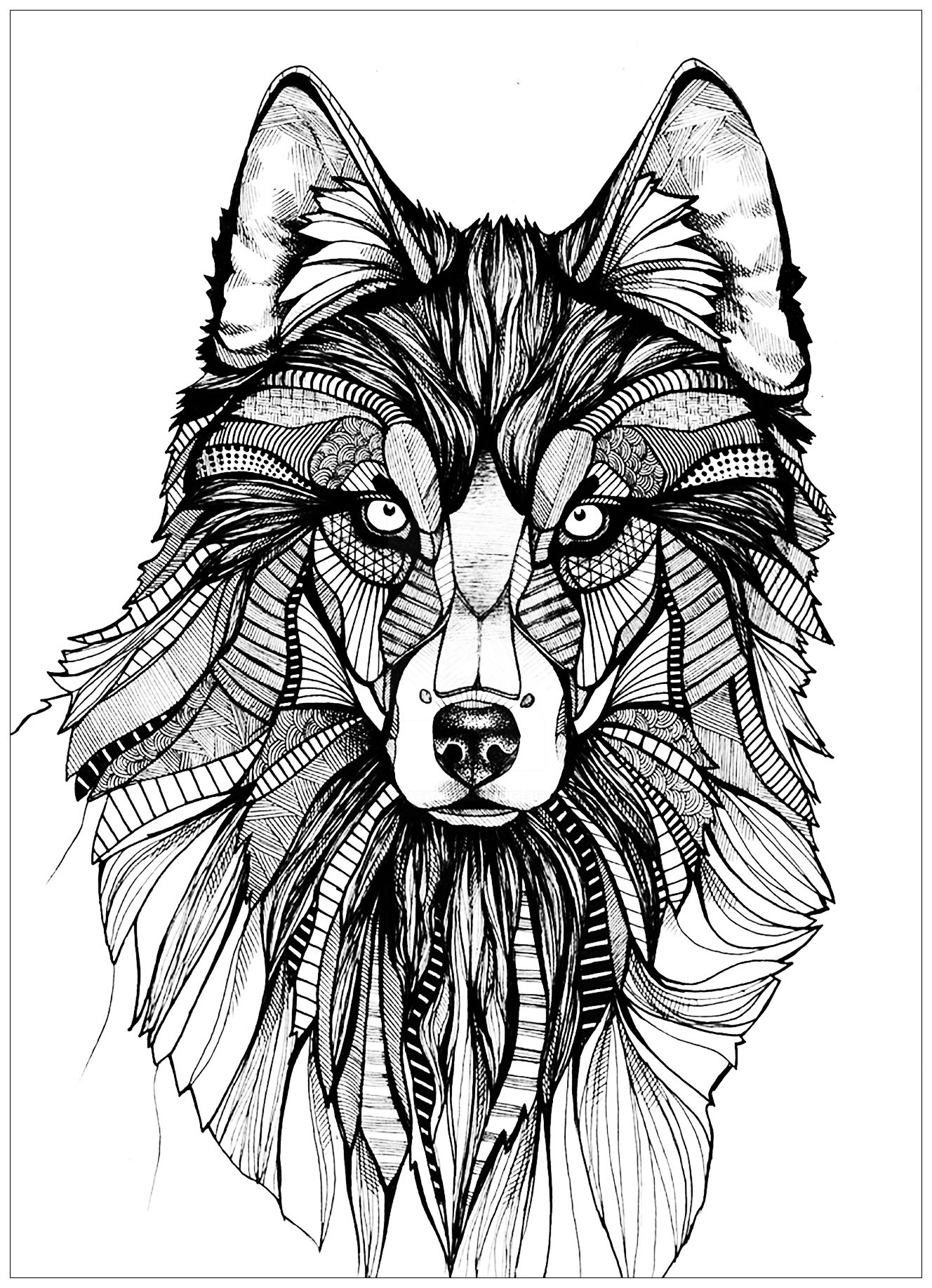 Adult Coloring Pages Wolf
 Wolf 3 Wolves Adult Coloring Pages