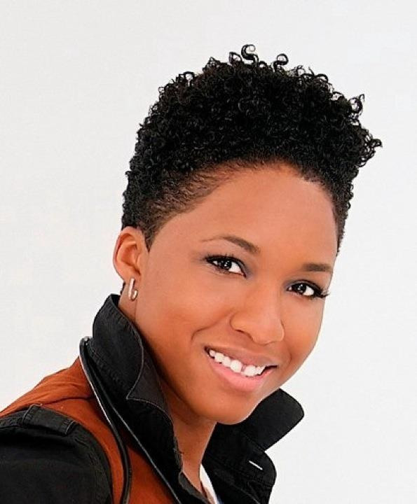 African American Natural Short Haircuts
 Short Natural Hairstyles For Black Women The Xerxes